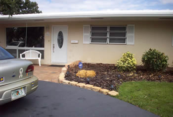 Ligustrum Tree and Boulder