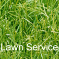 lawn care and landscape maintenance, lawn maintenance