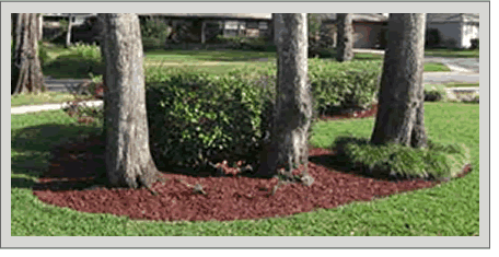 rubber mulch